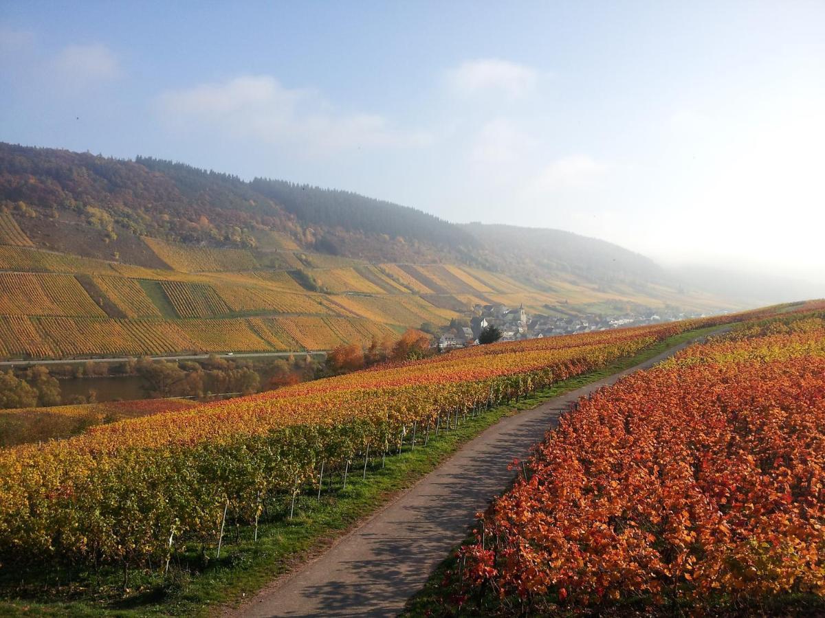Weingut-Brennerei-Gaestehaus Emil Dauns Reil Eksteriør bilde