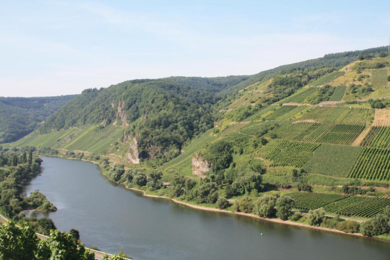 Weingut-Brennerei-Gaestehaus Emil Dauns Reil Eksteriør bilde