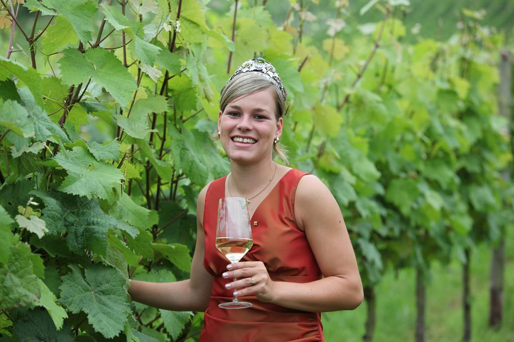 Weingut-Brennerei-Gaestehaus Emil Dauns Reil Eksteriør bilde