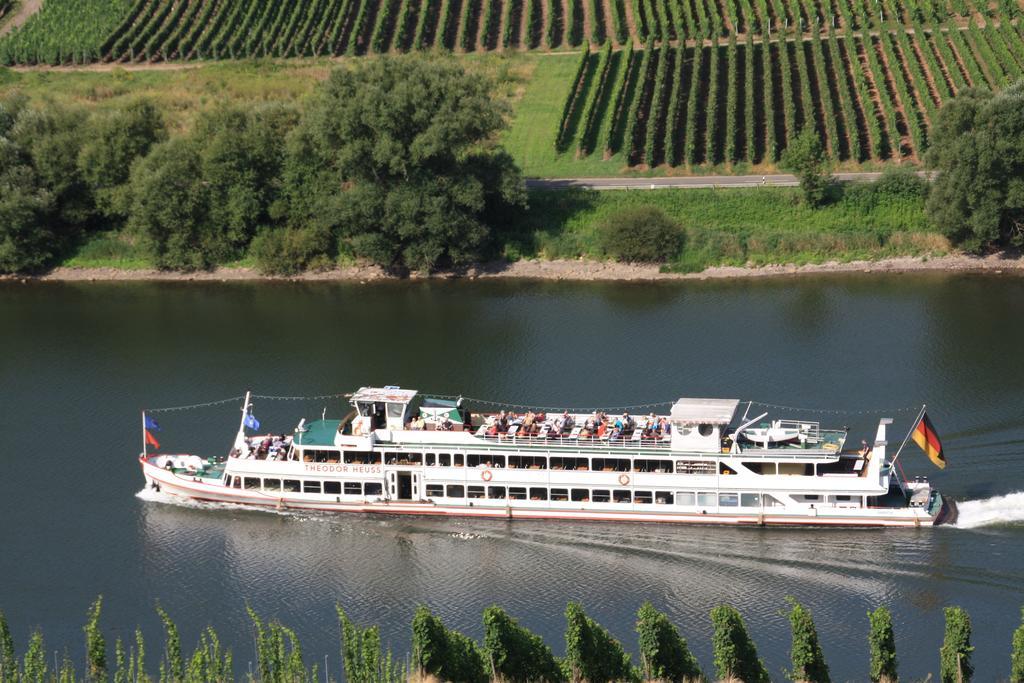 Weingut-Brennerei-Gaestehaus Emil Dauns Reil Eksteriør bilde