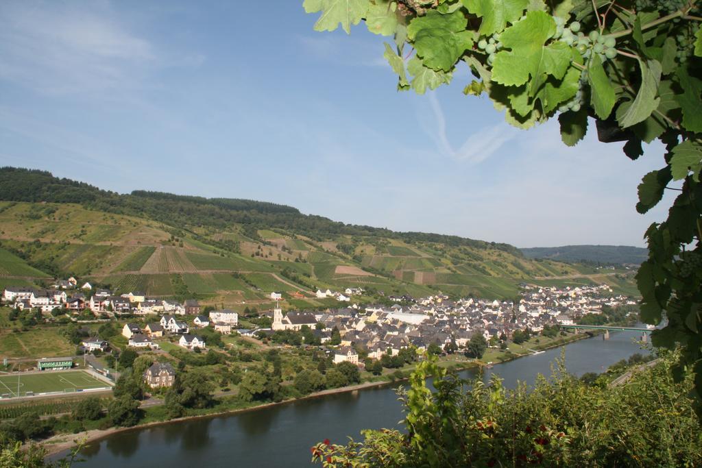 Weingut-Brennerei-Gaestehaus Emil Dauns Reil Eksteriør bilde