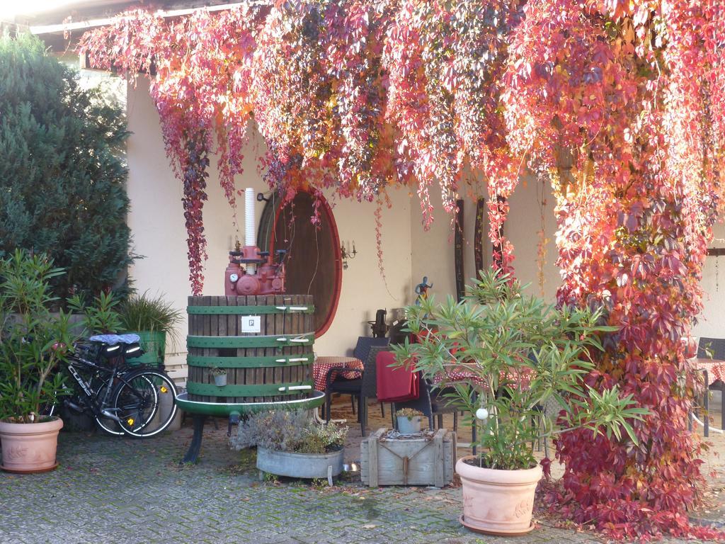 Weingut-Brennerei-Gaestehaus Emil Dauns Reil Eksteriør bilde
