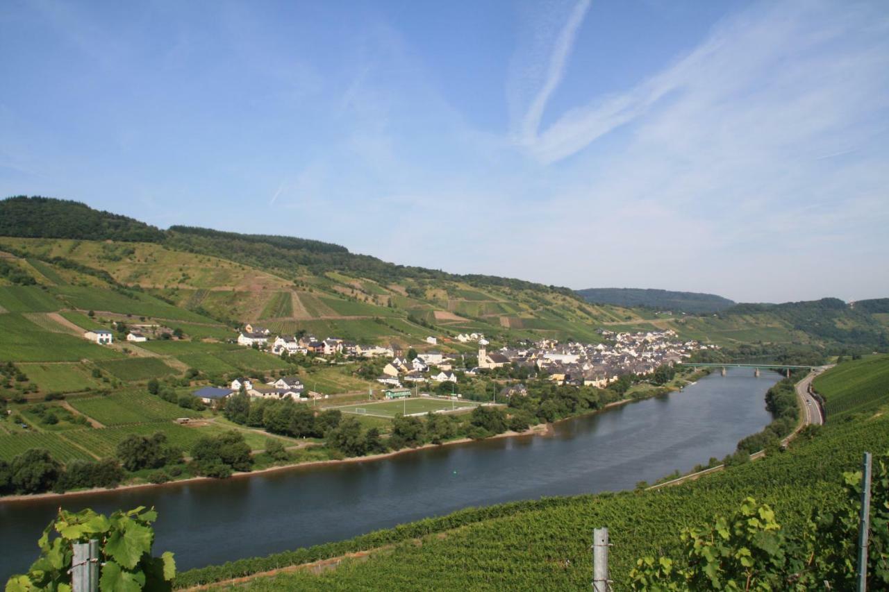 Weingut-Brennerei-Gaestehaus Emil Dauns Reil Eksteriør bilde
