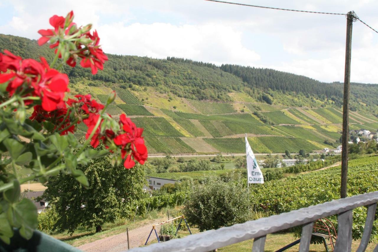 Weingut-Brennerei-Gaestehaus Emil Dauns Reil Eksteriør bilde